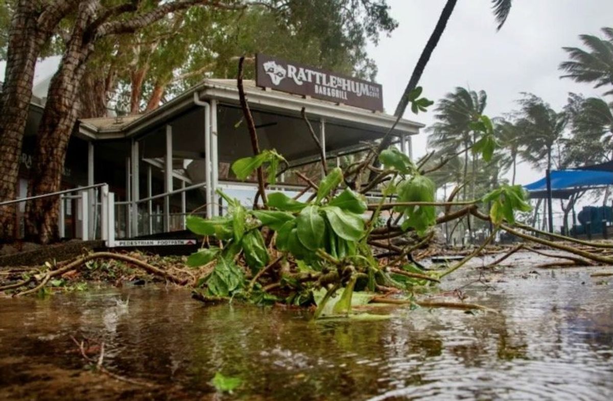 Crocs, cyclones and 'magnificent melaleucas': Aussie beach named world's best