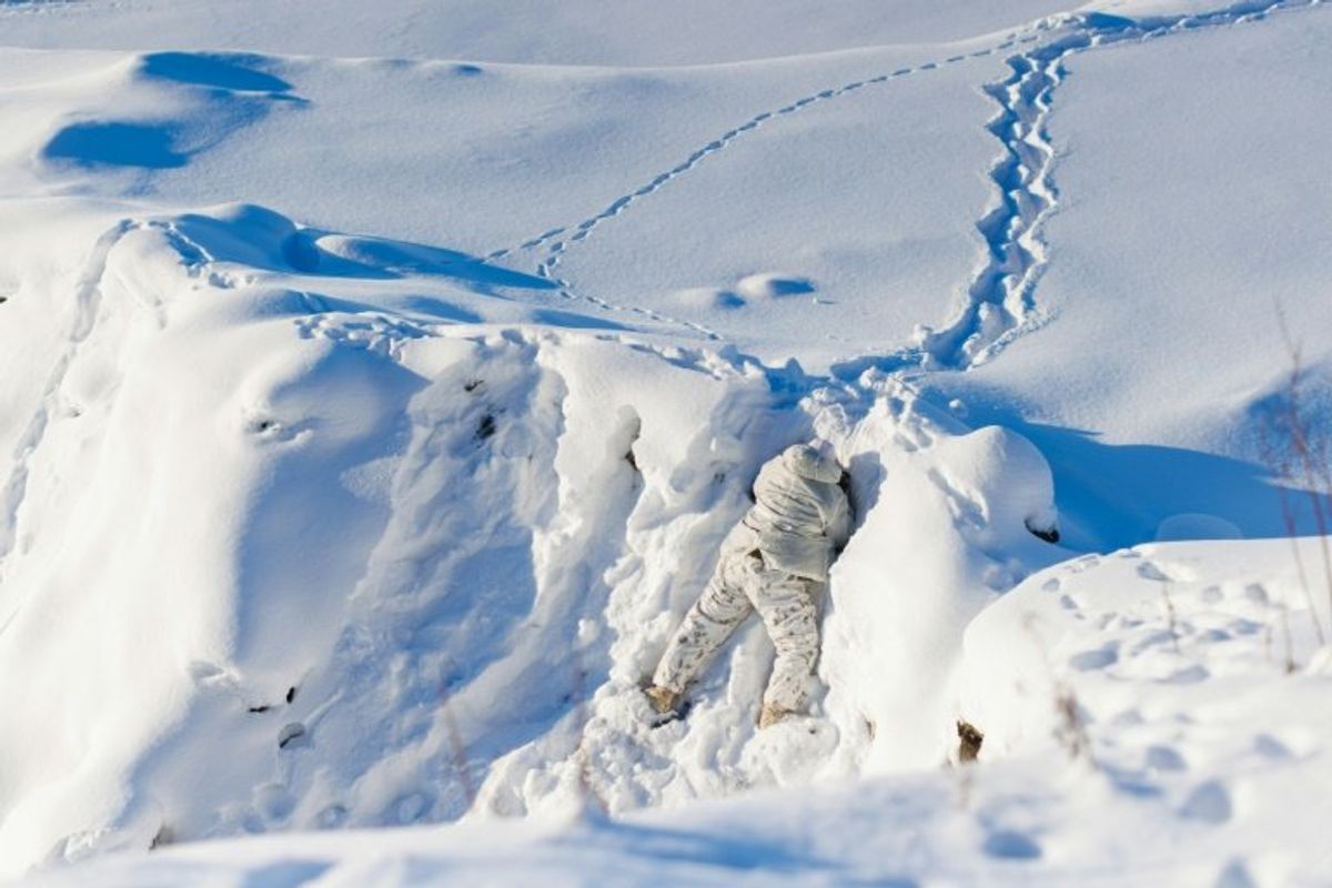 'Hard on the body': Canadian troops train for Arctic defense