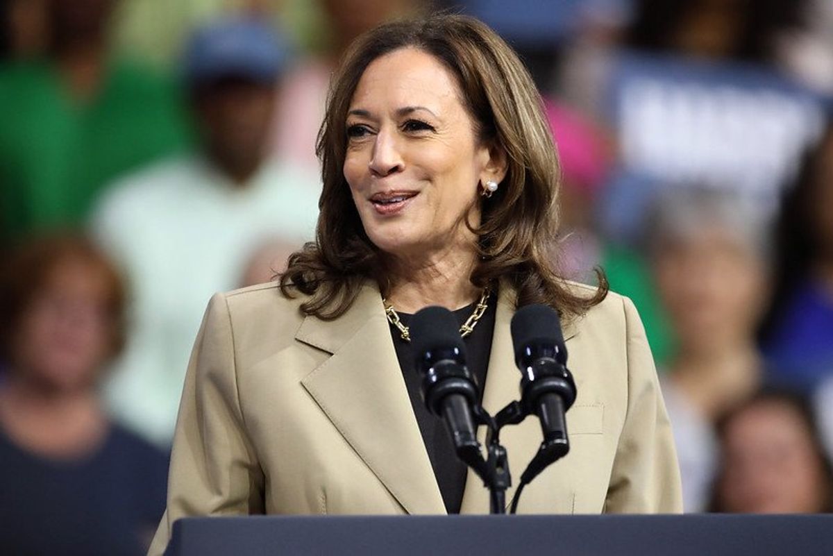 Conservative outlines 'closing argument' that Harris can use to knock out MAGA