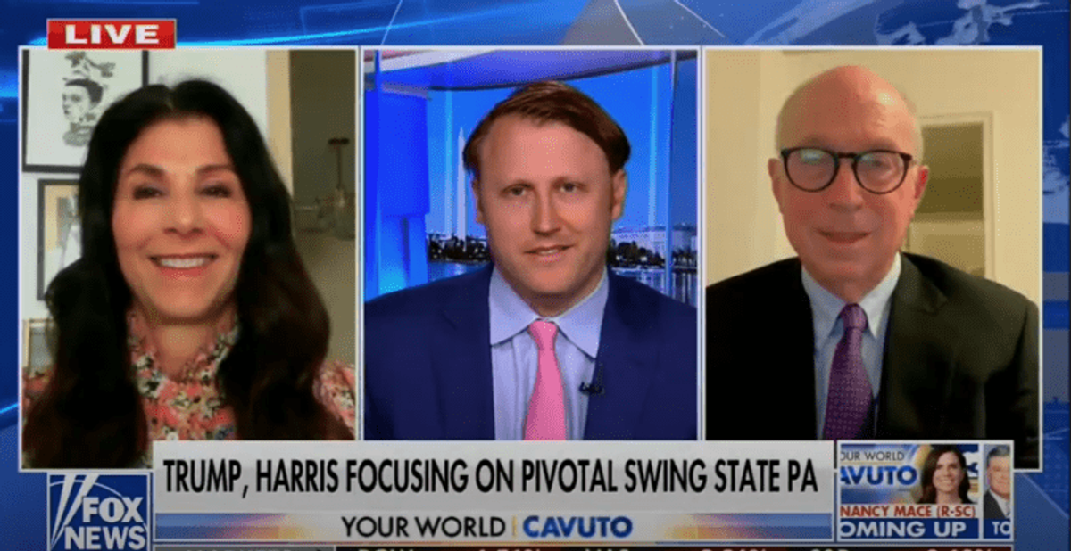 'Disastrous': Dem pollster hits Kamala Harris over what he calls her 'artful politics'