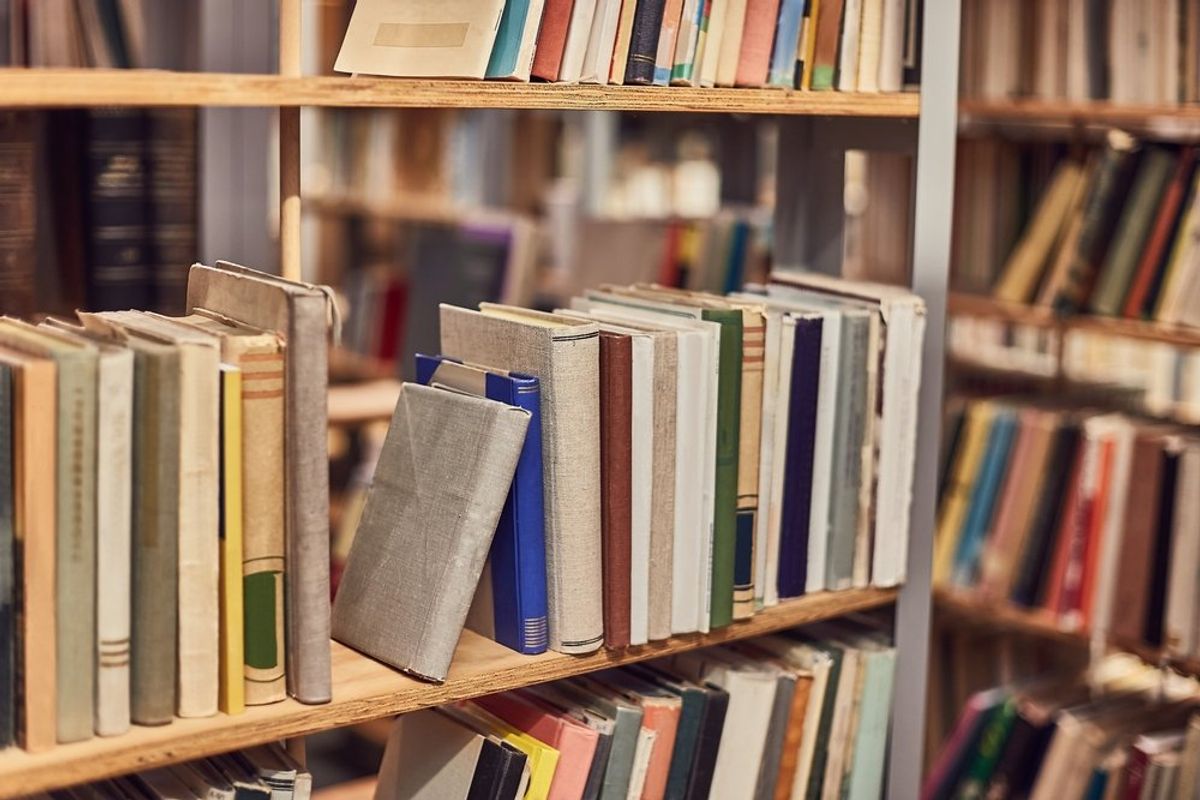 Constable spent years trying to prosecute school librarians over books he hated: report