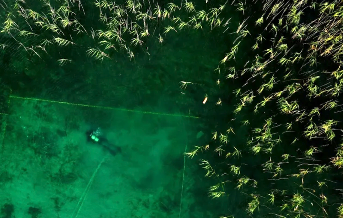 Archaeologists uncover Europe's oldest stilt village