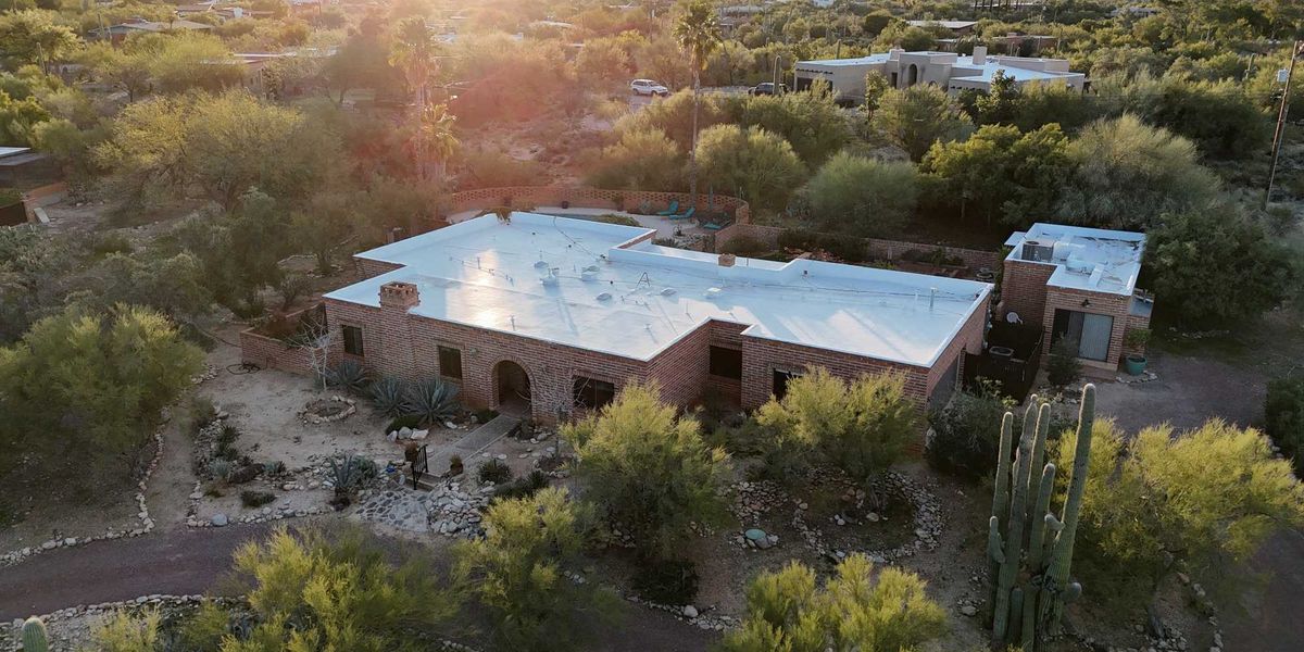 Active SWAT operation underway near Nancy Guthrie’s home: report