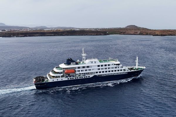 Suspicious MAGA suspects deadly cruise ship hantavirus outbreak a plot to ruin Trump