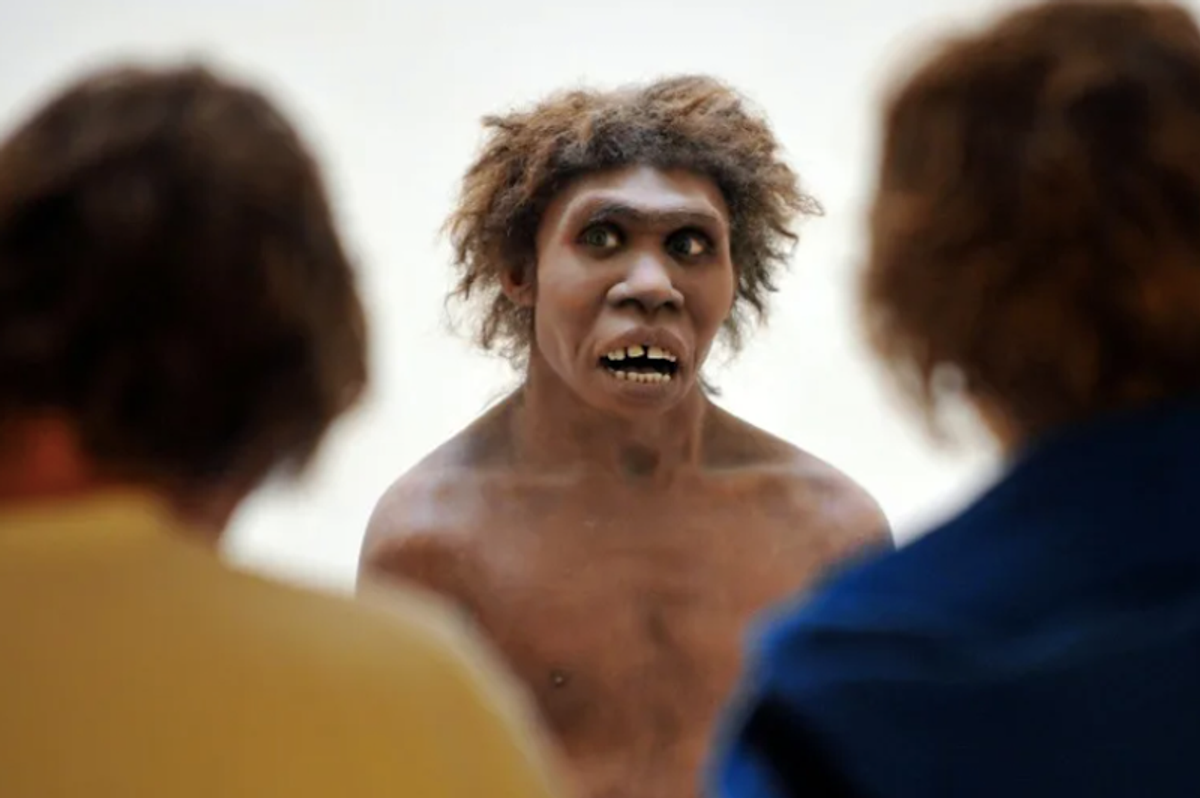 Homo erectus, not sapiens, first humans to survive desert: study