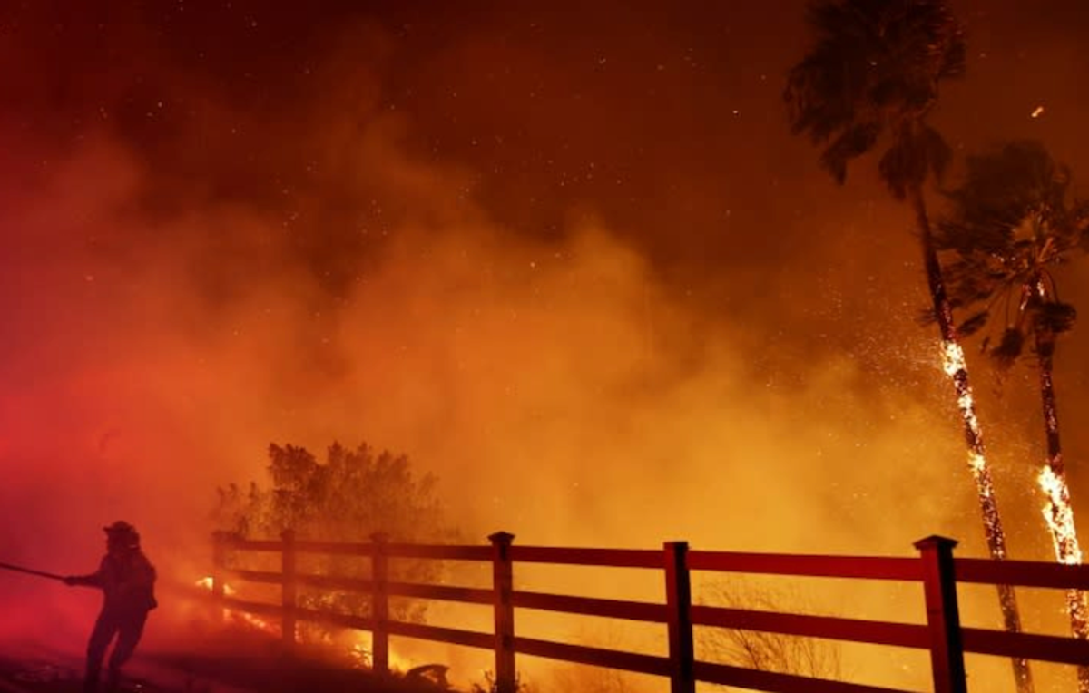 Wildfire quickly spreads in California's Malibu