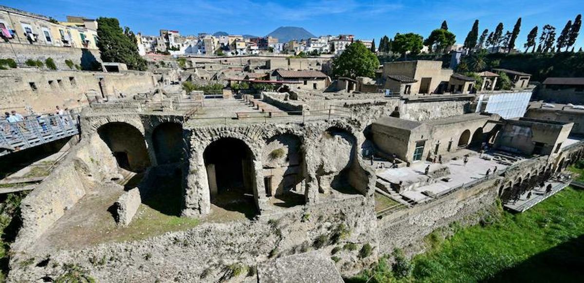 Shellfish! How men hogged seafood in ancient Roman city hit by Vesuvius