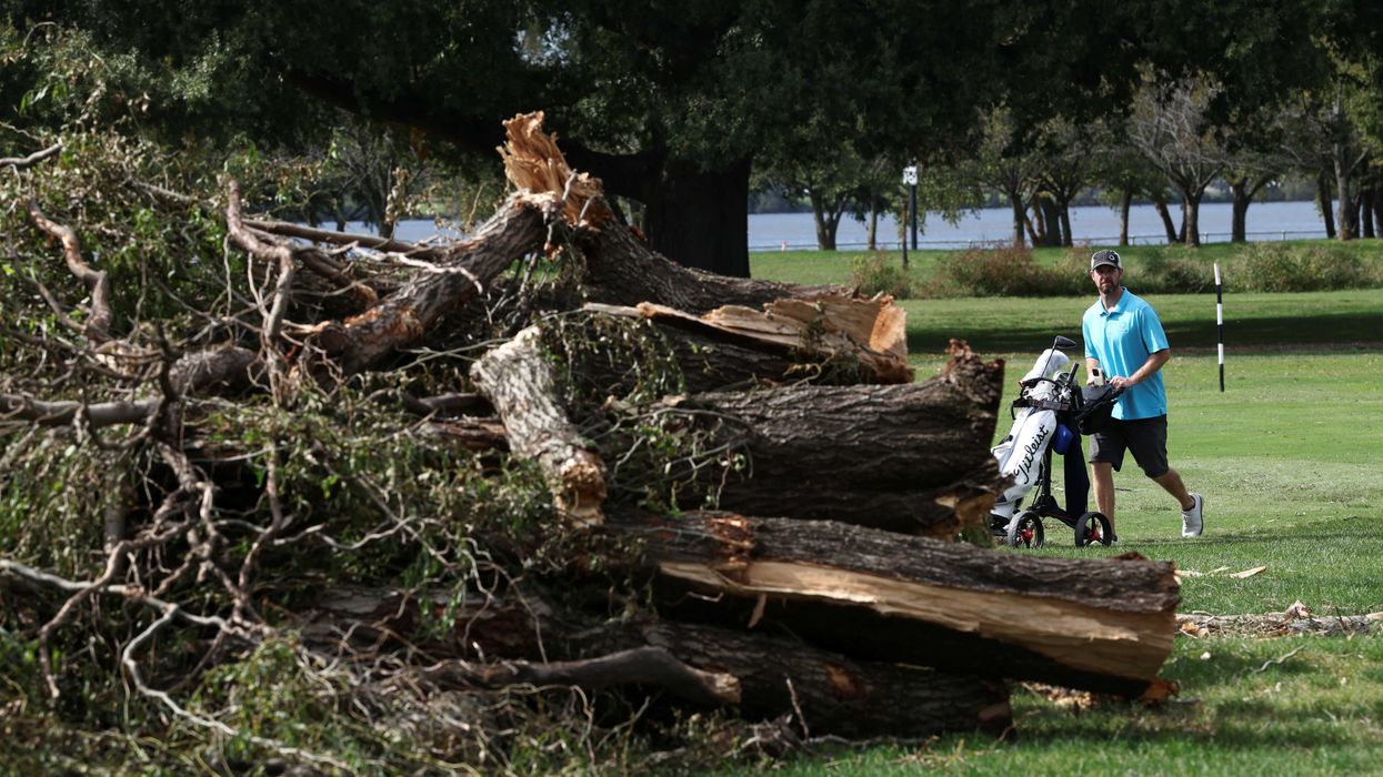 Shaken Trump DOJ begs to ditch judge who grilled officials over razed golf course trees