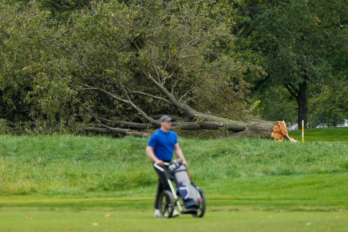 Judge slams brakes on Trump golf course tree-cutting and demands to know who gave order