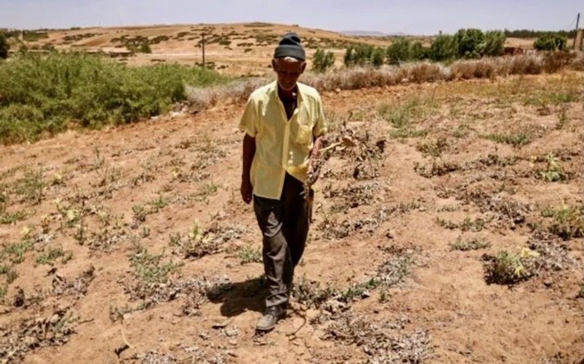 Crucial farm jobs dry up in drought-stricken Morocco