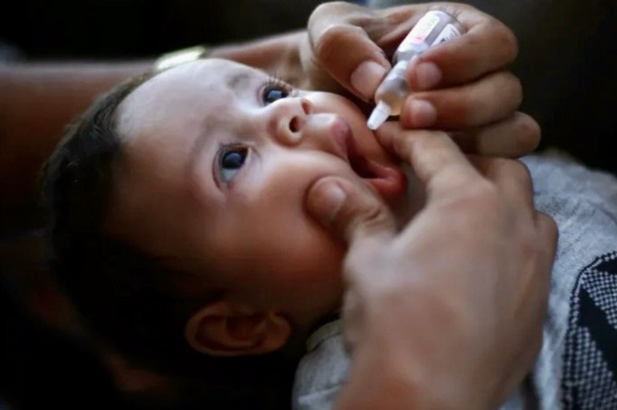 WHO says 'intense bombardment' halts Gaza polio vaccinations