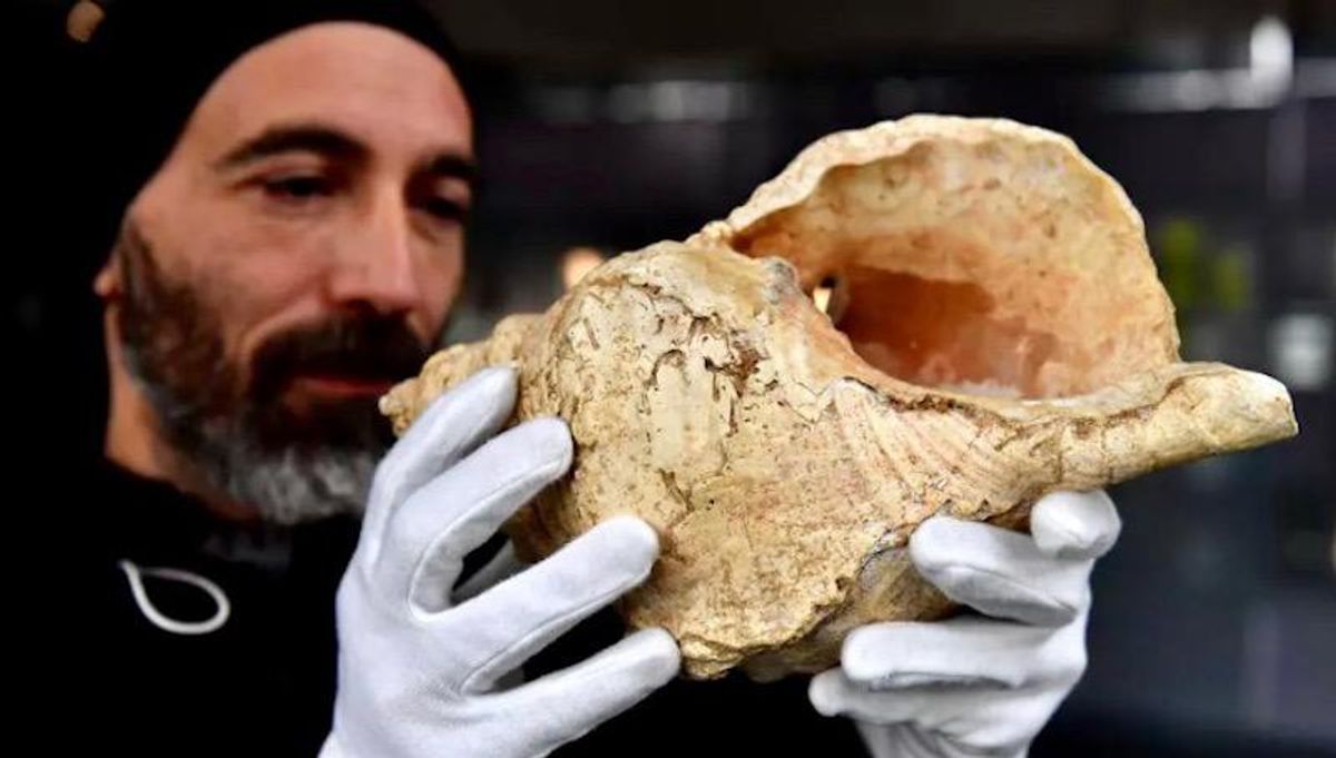 Earliest shell horn played for first time in 17,000 years