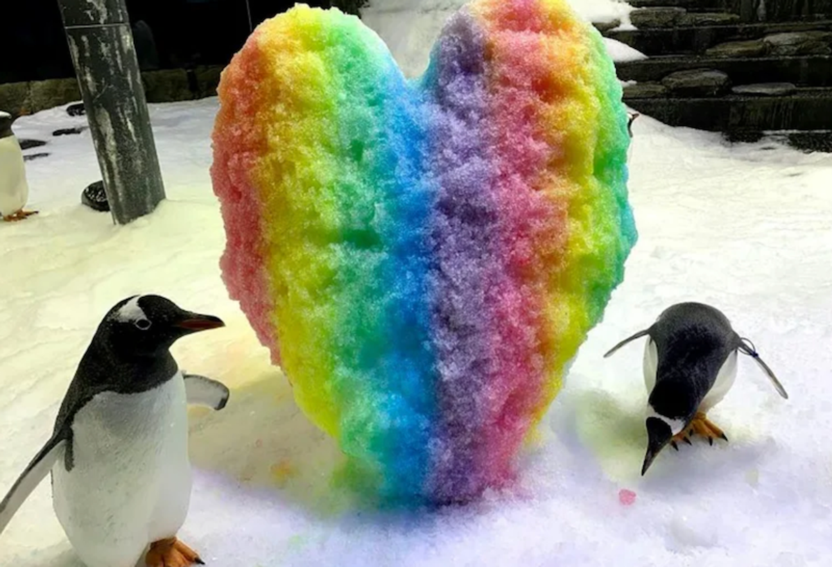 Australian penguin dies, ending famous 'same-sex power couple'