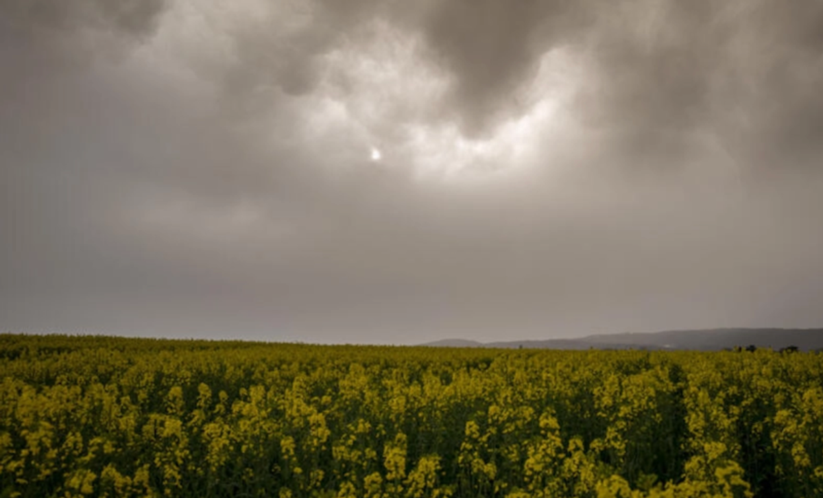'Exceptional' dust cloud from Sahara sweeps Europe, says climate monitor