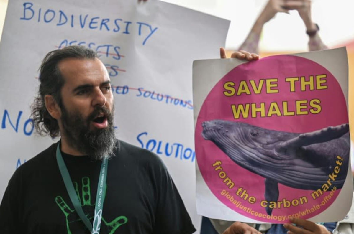 Big guns descend on Cali for final push in UN biodiversity talks