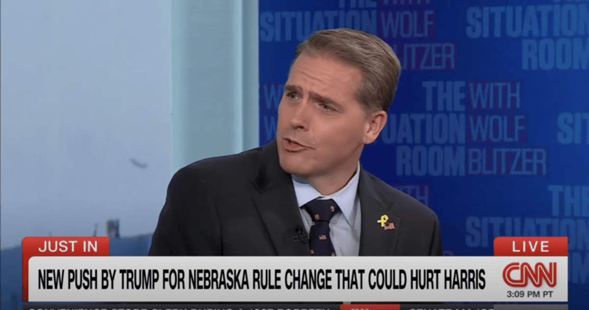 GOP strategist scoffs at notion it's 'inappropriate' for Trump to urge voting rule change