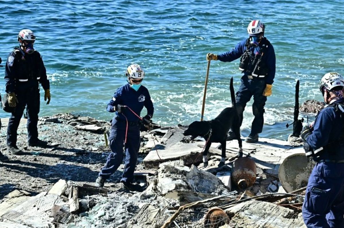 Dogs prove invaluable in massive search for Los Angeles fire victims