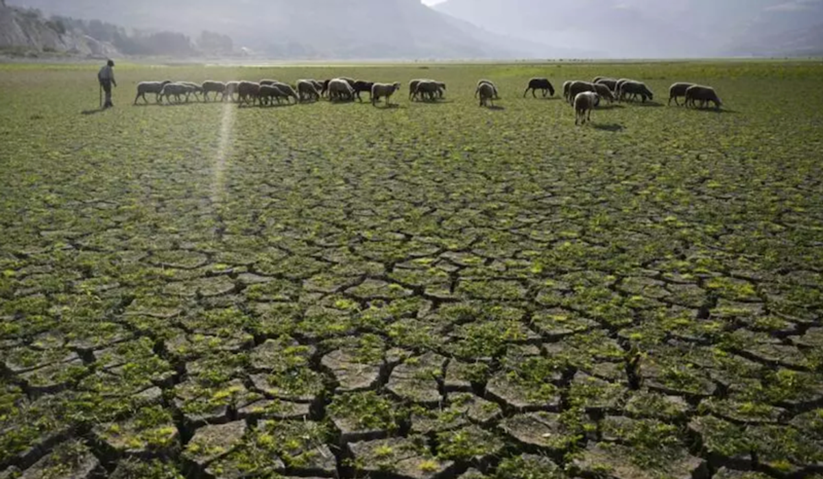 UN warns world's water cycle becoming ever more erratic