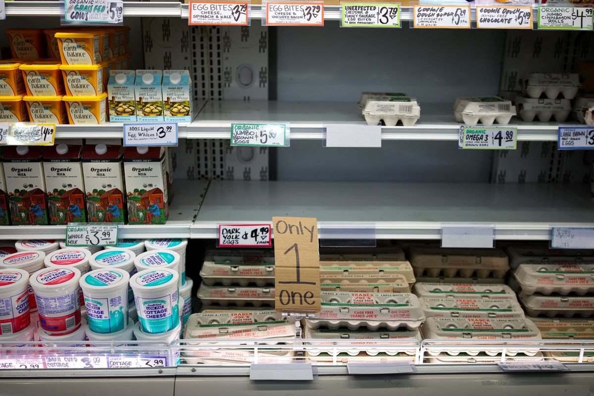 Trump slammed Harris' 'communist' price-gouging plan — but his DOJ is probing just that