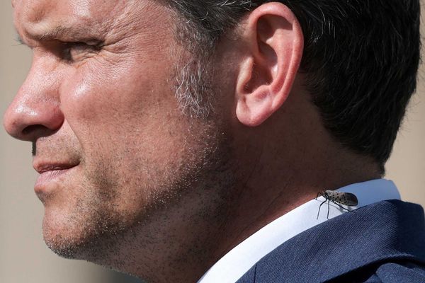 Mockery as Pete Hegseth 'barks' at kids in football stadium about 'redcoats'