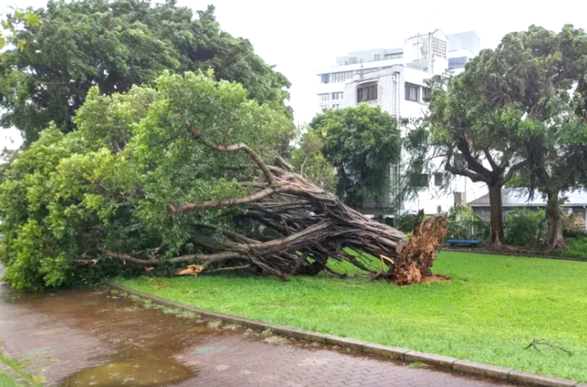 Typhoon knocks out power in southern Japan