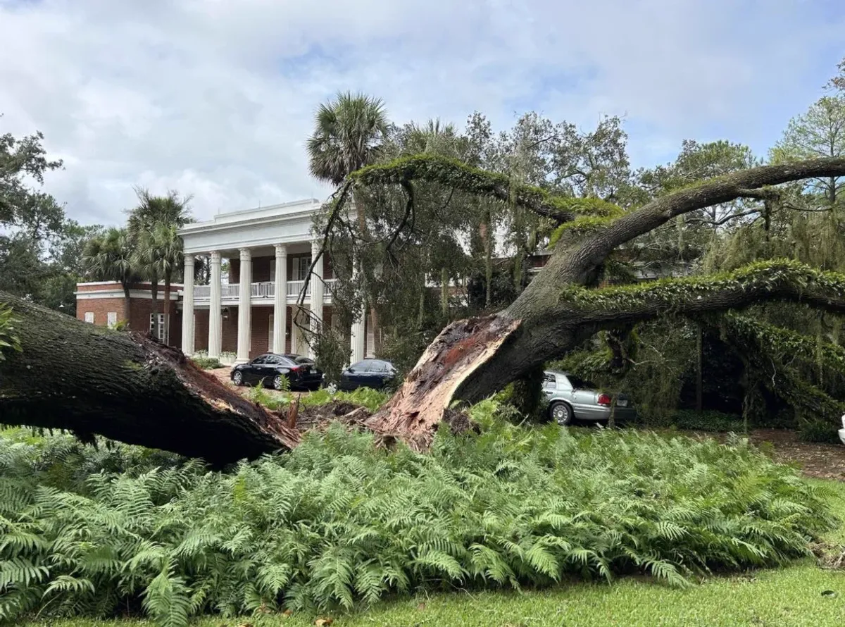 Hurricane Idalia sends massive tree crashing into DeSantis' home