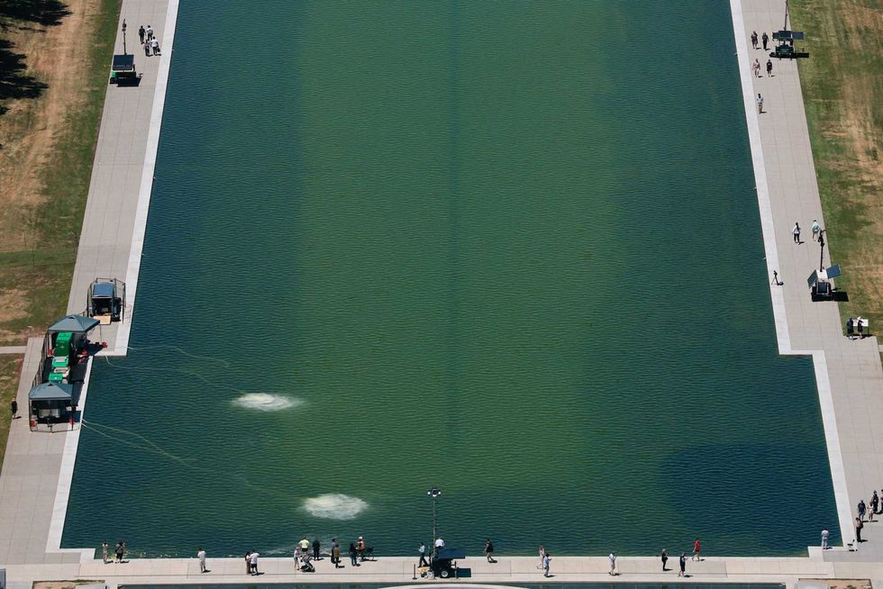 Trump admin frantically scrambling to clean up murky Reflecting Pool: report