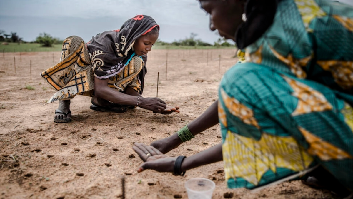 'Human-induced' climate change behind deadly Sahel heatwave: study