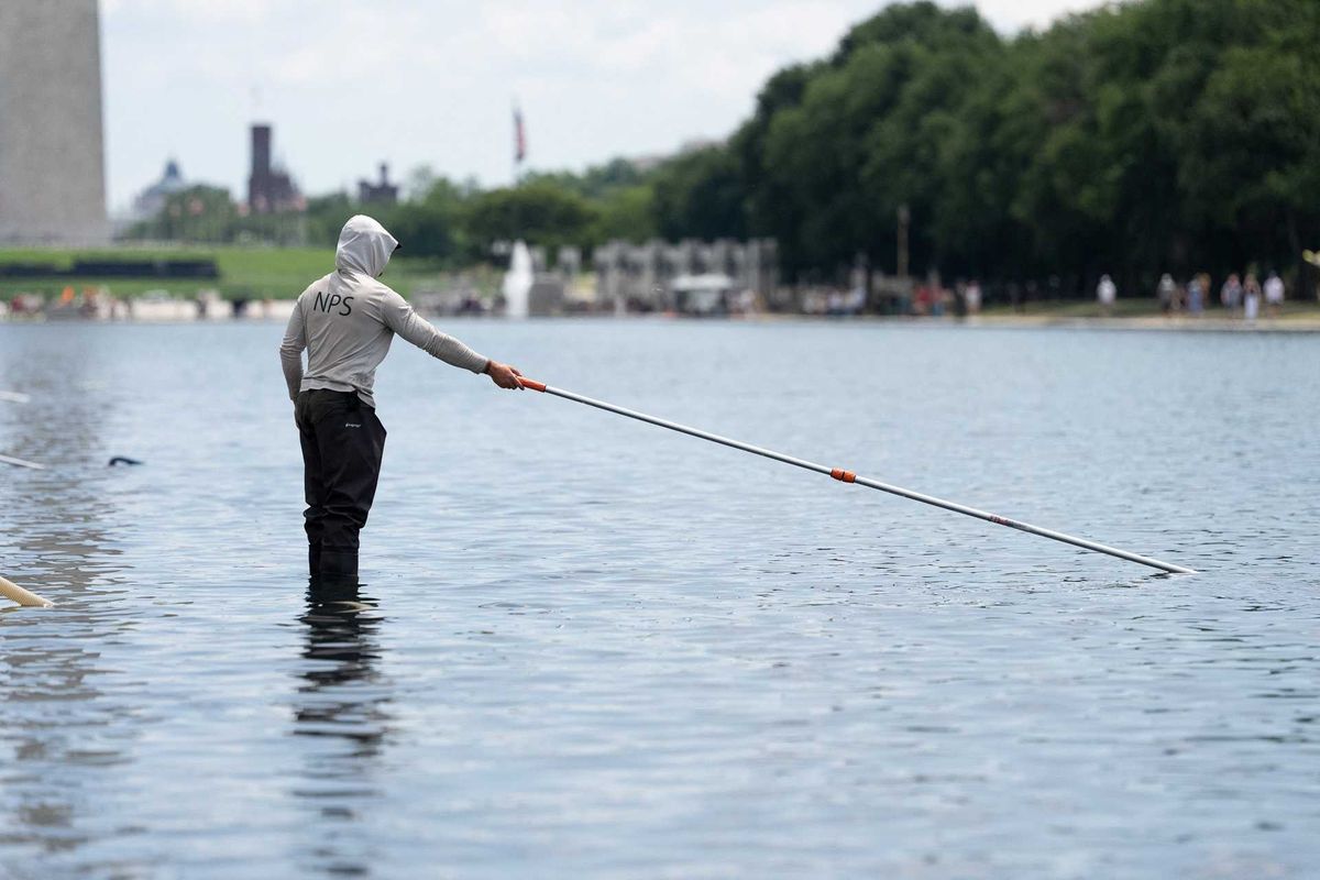 Reflecting Pool starts to stink after Trump orders it drained: DC photographer