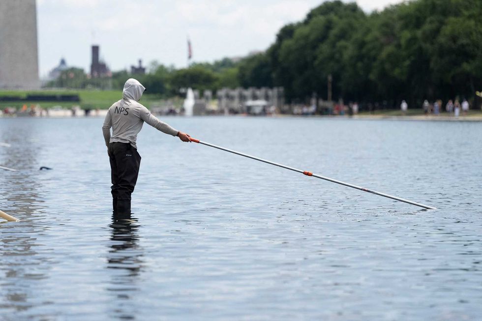 Reflecting Pool starts to stink after Trump orders it drained: DC photographer