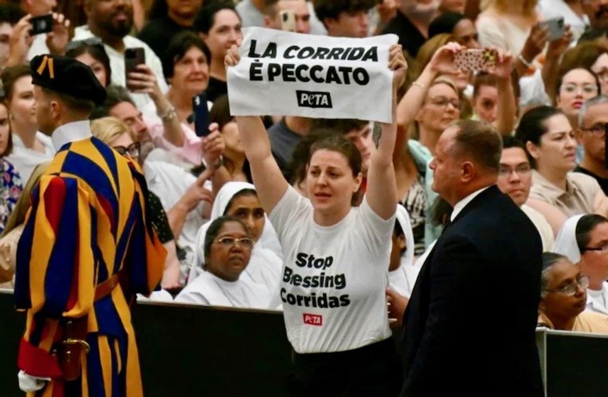 Activists against bullfighting disrupt Pope's audience