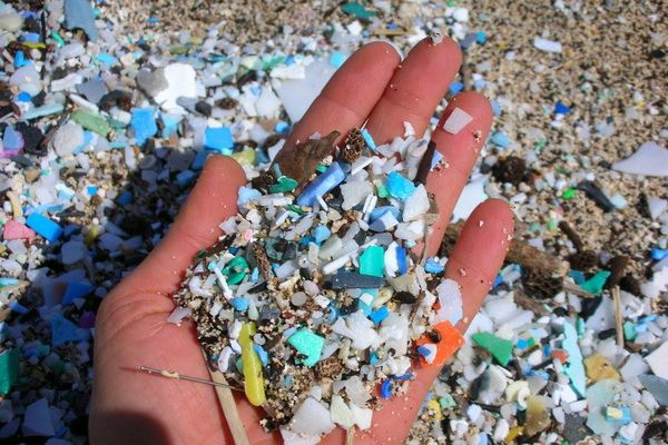 Microplastics are in human testicles. It’s still not clear how they got there.