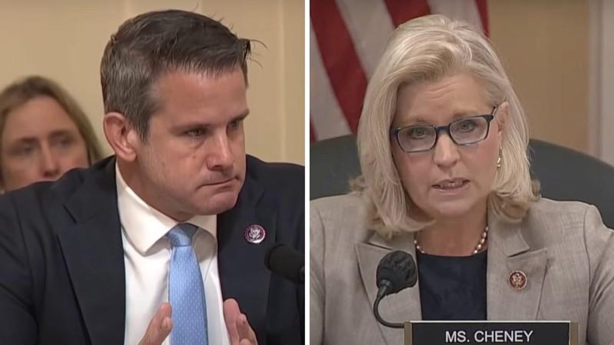 RNC ‘party hacks’ ripped by ex-GOP congressman for censure of Cheney and Kinzinger