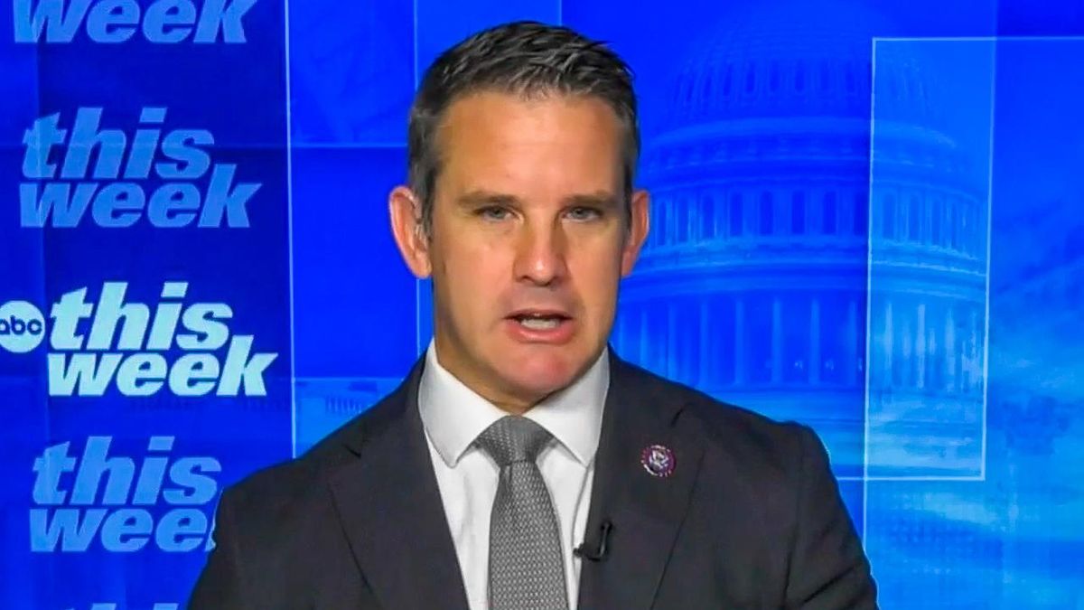 Adam Kinzinger: Jan. 6 hearings moved 'hardcore' Trump supporters who 'now just can't stand him'