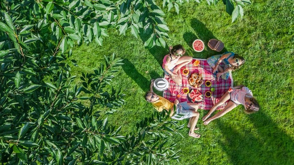 Aerial view of a picnic in a park.