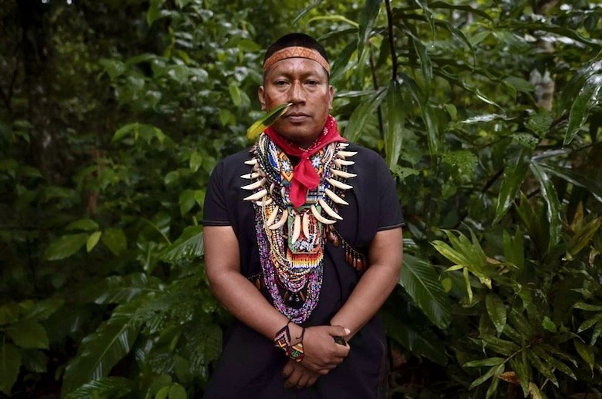 Ayahuasca, 'source of knowledge' in the heart of the Amazon