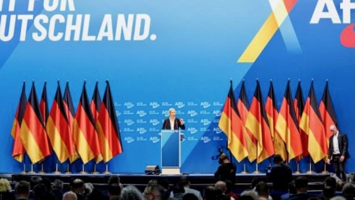 German far right emboldened by Austria
