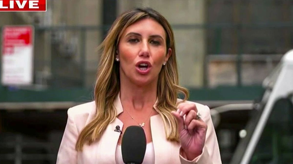 Alina Habba brings up Michael Cohen during Fox News interview despite gag order