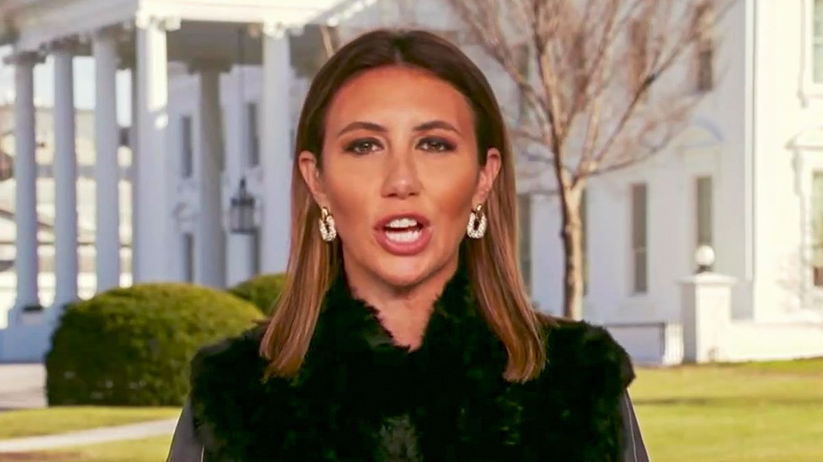 Trump lawyer Alina Habba: The law is 'what our attorney general of the United States says'