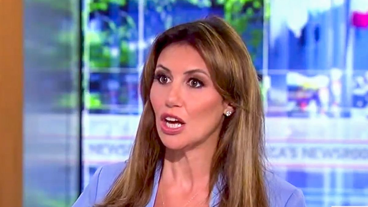 'The judge blamed you': Fox News host turns tables on Alina Habba over Stormy Daniels