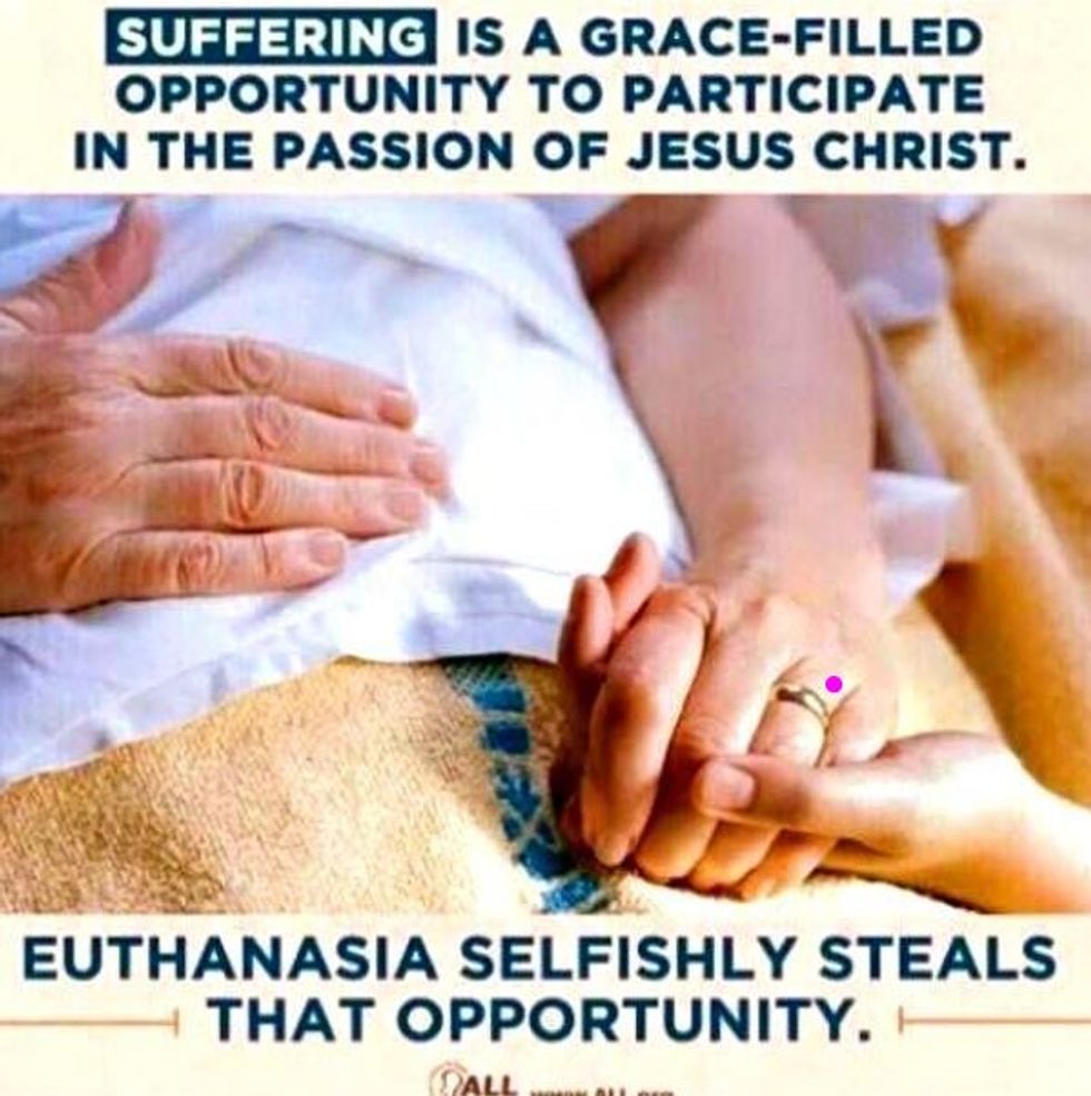 ALL Euthanasia Suffering