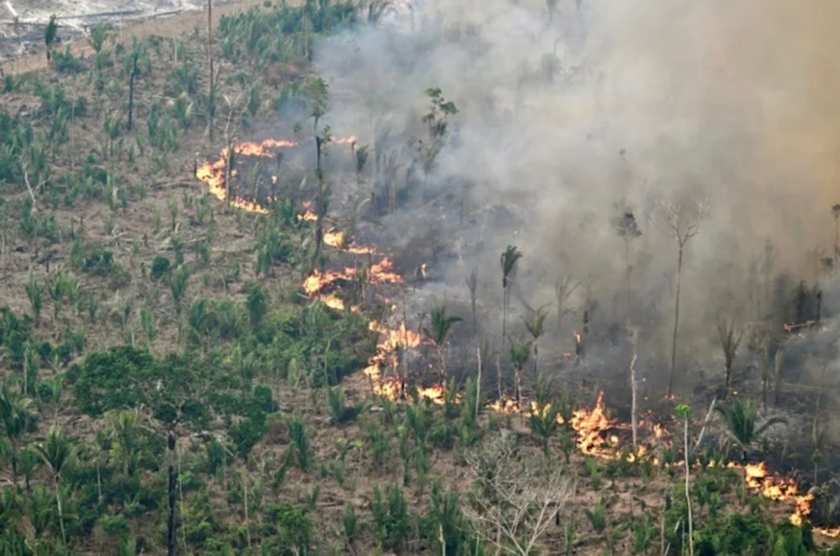 From Bolivia to Indonesia, deforestation continues apace