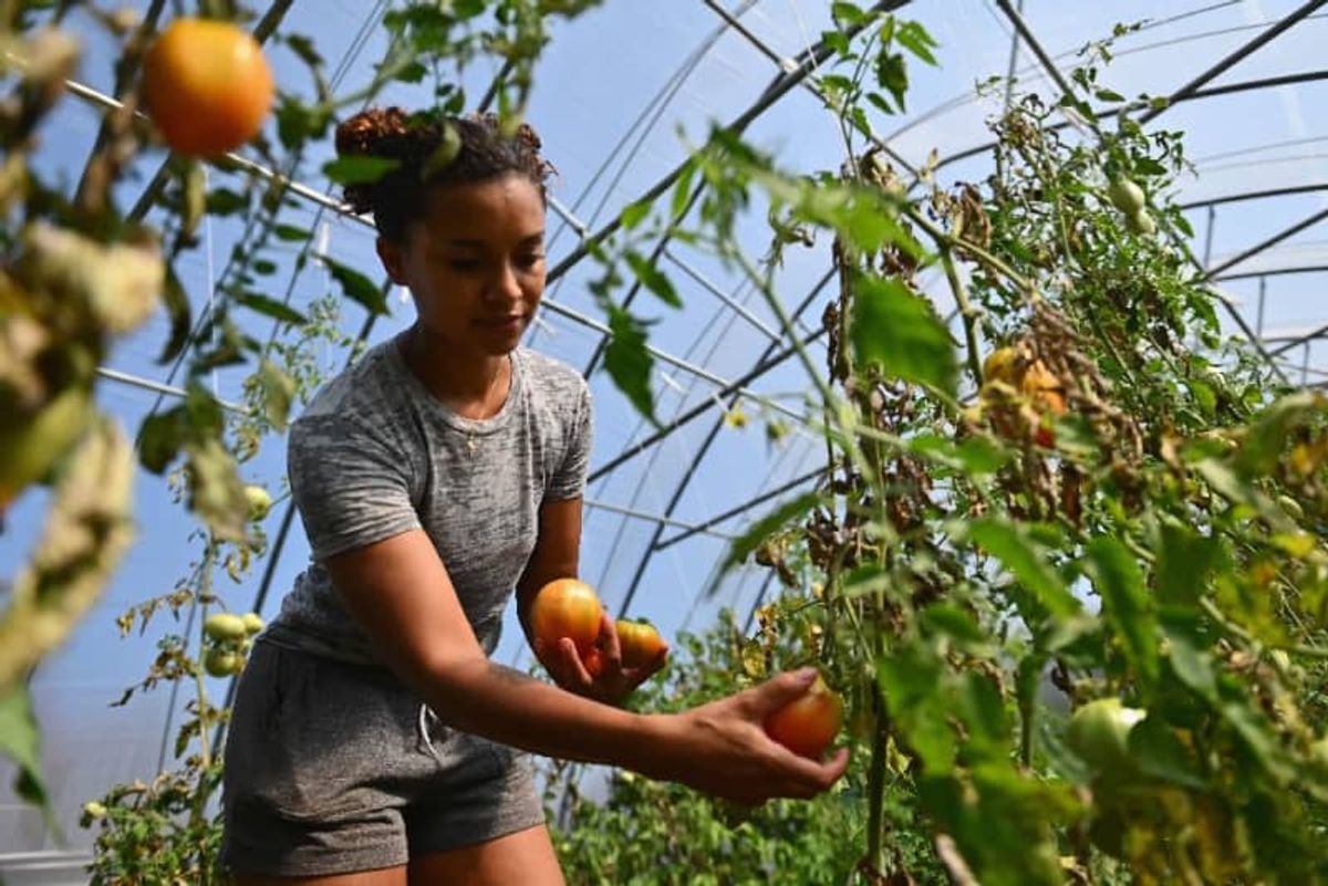 Black farmers raise concerns over Biden's pick to head Agriculture Department