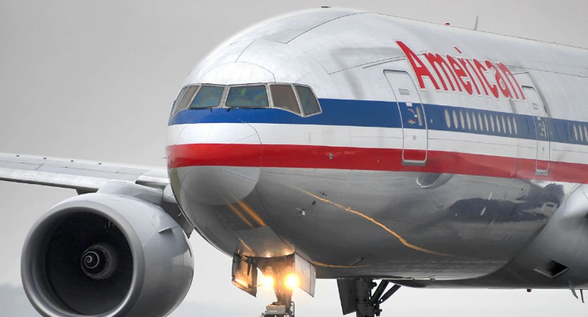 Packed plane forced to make emergency landing after bird strike