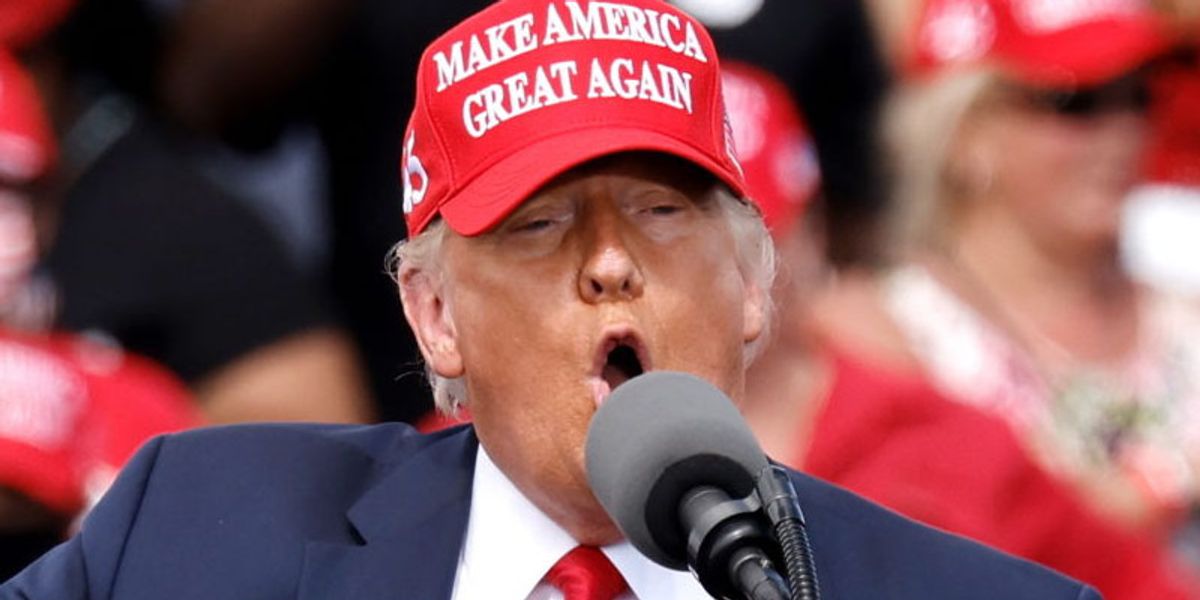 MAGA pundit implodes debating Grok about Trump: 'Speeches don't rewrite certified history'