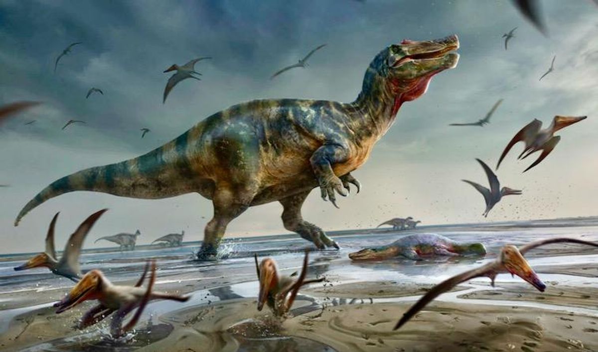 Europe's 'largest predatory dinosaur' found by UK fossil hunter
