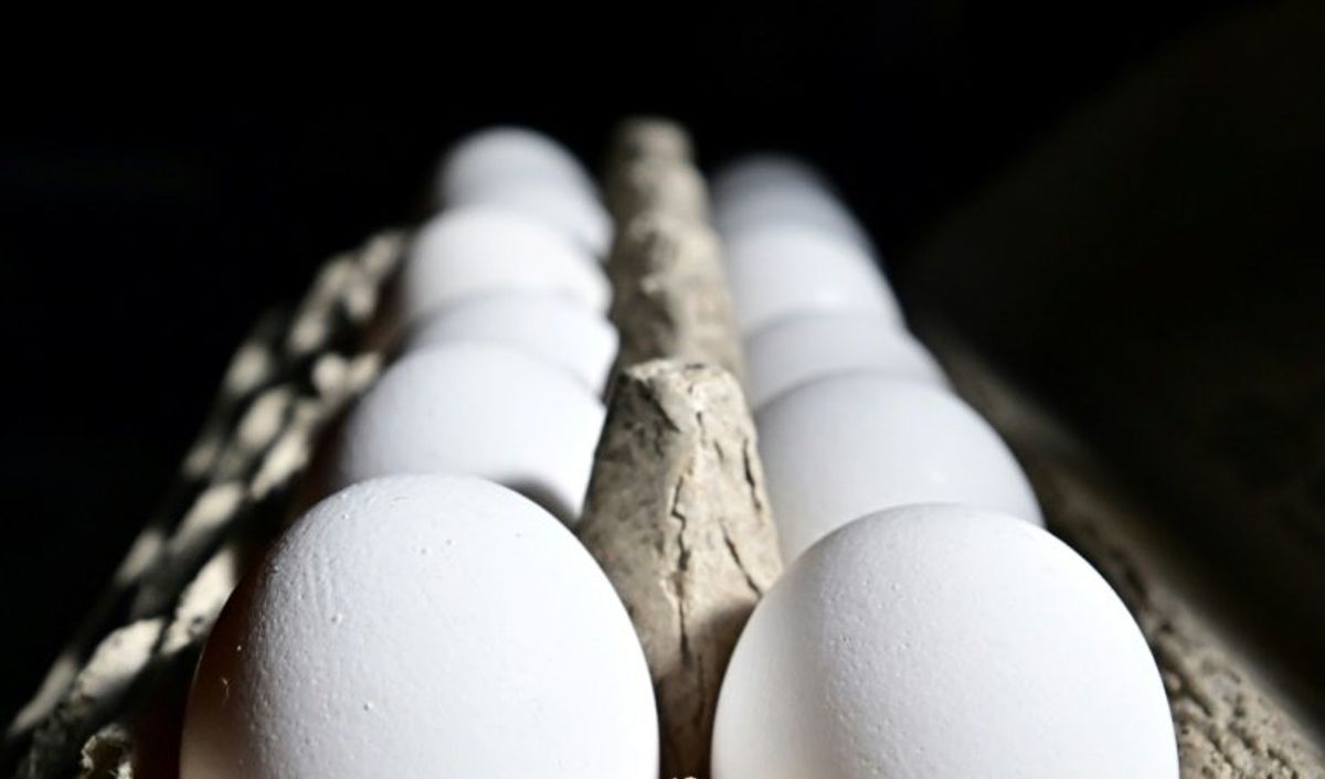 United States imports eggs from Korea, Turkey to help ease prices