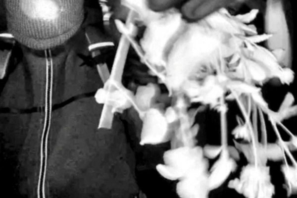 Ex-FBI director flags 'odd' details as first images emerge of Nancy Guthrie's kidnapper