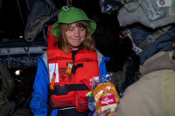 'Extraordinary imbecile': MAGA piles on over Greta Thunberg stunt