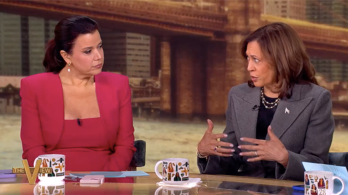 'The height of callousness': Harris unleashes on Trump during The View appearance